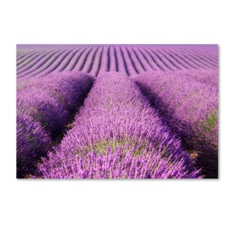 Michael Blanchette Photography 'Purple Hills' Canvas Art,12x19